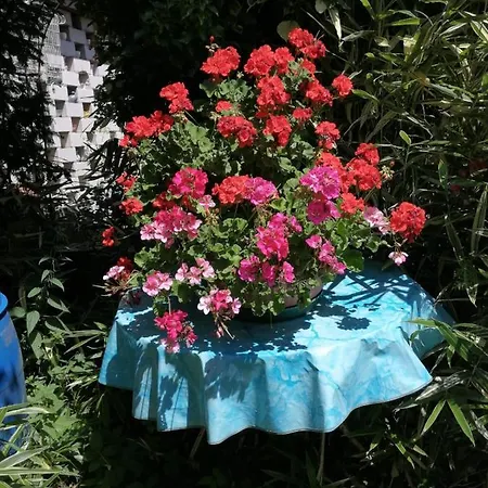 Apartman Roth Am Naturschutzgebiet Bodensee Eriskircher Ried