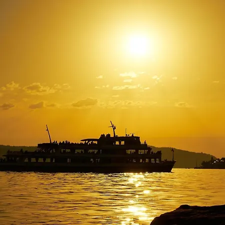 Roth Am Naturschutzgebiet Bodensee Eriskircher Ried Eriskirch